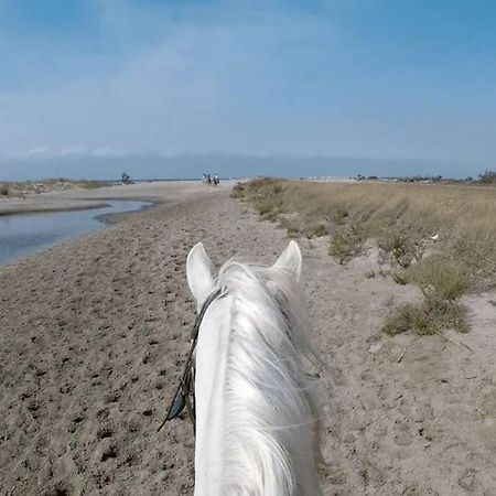 "Le Nature" Camargue Jardin Арль Екстер'єр фото