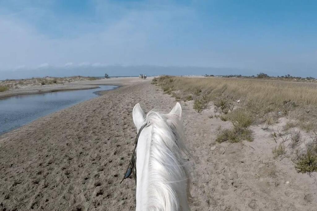 "Le Nature" Camargue Jardin Арль Екстер'єр фото