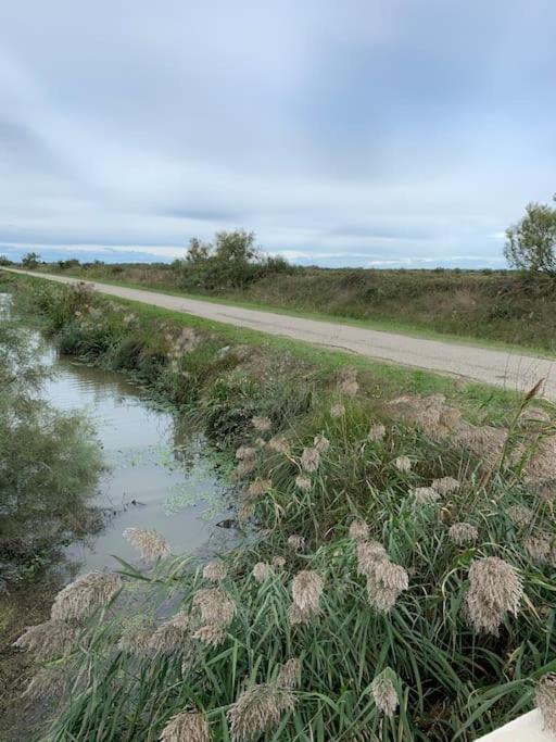 "Le Nature" Camargue Jardin Арль Екстер'єр фото